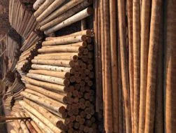 Distribuidor de Madeira Tratada em Vargem Grande