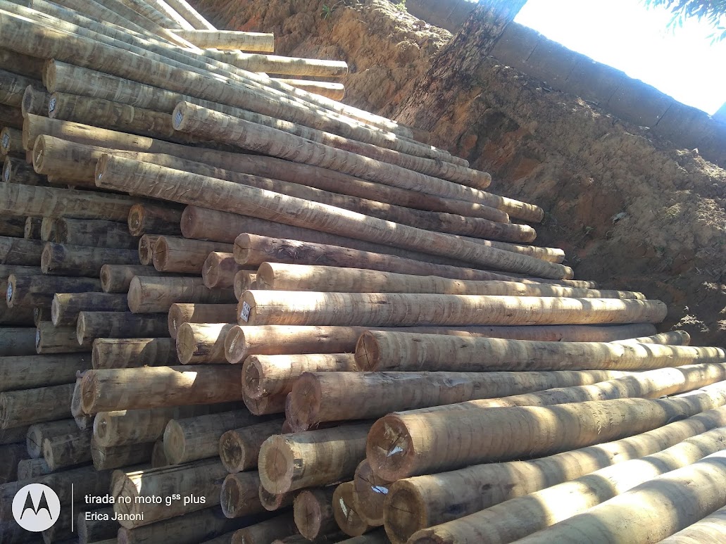 Empresa de Madeira Tratada em Cotia