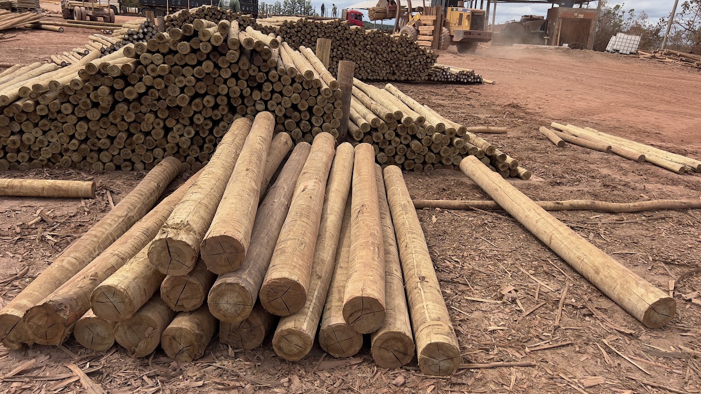 Fabricante de Madeira Tratada em Campinas