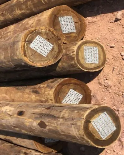 Madeira de Eucalipto Tratado em Mairinque