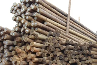 Madeira Ecológica em São Paulo