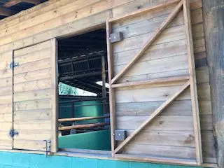 Madeira Tratada Pinus em Litoral Norte