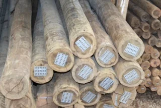 Madeireira em Mairinque