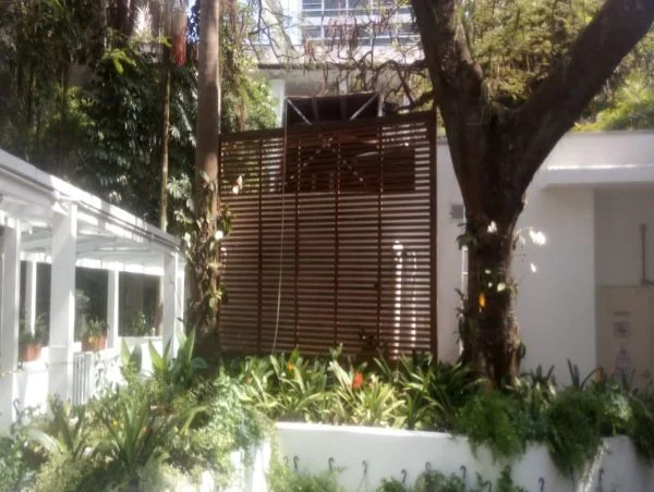 Pinus em Ripa São Paulo