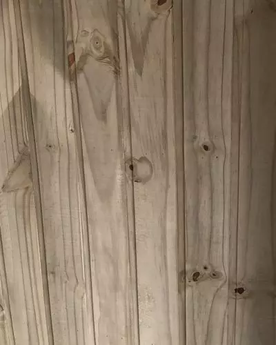 Pinus Tratado Forro em São Paulo